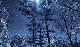 中秋节歌曲大全100首