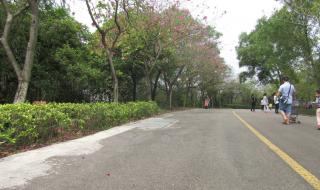 十八罗汉山森林公园