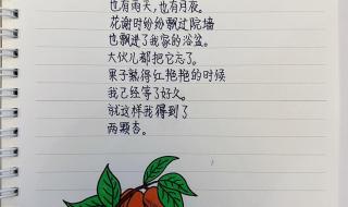 现代诗四年级摘抄