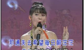 十二大美女闽南歌曲