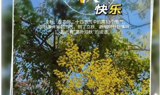 2023年立秋的具体时间